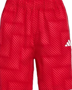 adidas Kids Aop World Soccer Shorts (Big Kid)