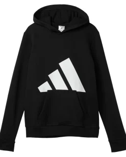 adidas Kids Essential Big Logo Fleece Hooded Pullover (Big Kid)