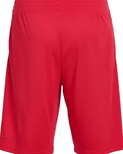 adidas Kids Essentials Big Logo Shorts (Big Kid)