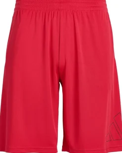 adidas Kids Essentials Big Logo Shorts (Big Kid)