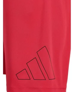 adidas Kids Essentials Big Logo Shorts (Big Kid)