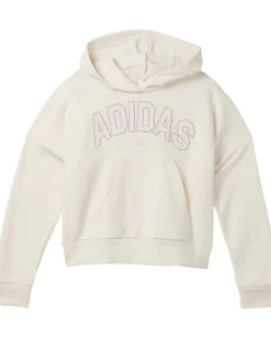 adidas Kids Graphics Fleece Hooded Pullover (Big Kid)