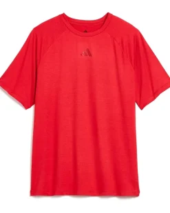 adidas Kids Raglan Poly Tee (Big Kid)