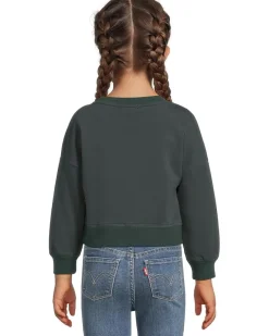 Appaman Kids Lisa Cropped Sweatshirt (Toddler)