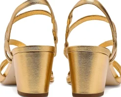 Bernardo Gyoda Women's