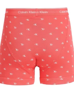 Calvin Klein Underwear Cotton Classics Boxer Brief 3-Pack Men's