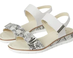 David Tate Civic Women's