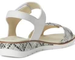 David Tate Civic Women's