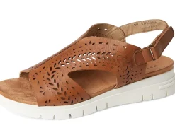 David Tate Moda Women's