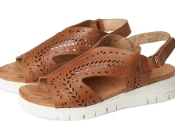 David Tate Moda Women's