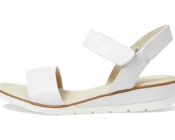 David Tate Scala Women's