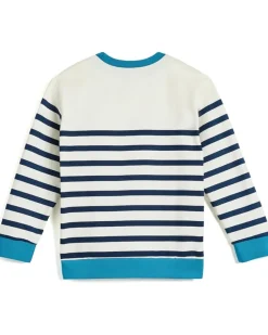 Hatley Kids Pullover Sweatshirt (Toddler/Little Kid/Big Kid)
