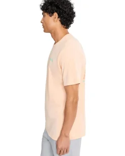 Hurley Fern Gradient Short Sleeve Men's
