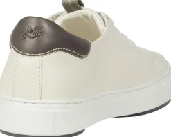 Johnston & Murphy Collection Anson Lace to Toe Men's