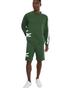 Lacoste Straight Cut Fleece Loungewear Shorts Men's