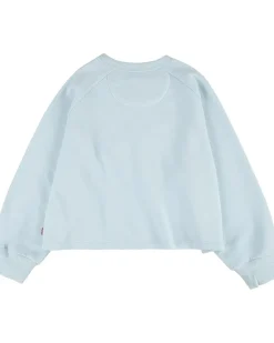 Levi's® Kids Raglan Meet and Greet Crew (Big Kids)