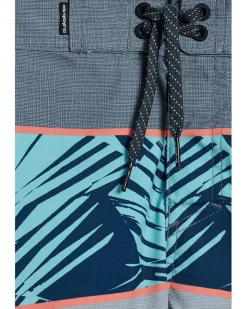 Quiksilver Kids Boys Everyday Panel (Big Kid)