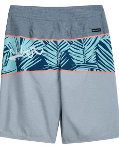 Quiksilver Kids Boys Everyday Panel (Big Kid)