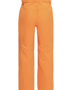 Quiksilver Kids Estate Pant (Big Kids)
