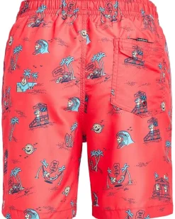 Quiksilver Kids Everyday Mix Volley (Big Kid)