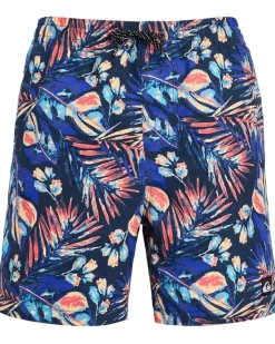 Quiksilver Kids Everyday Mix Volley (Big Kid)