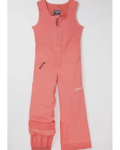 Spyder Kids Expedition Pants (Toddler/Little Kid)