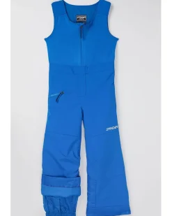 Spyder Kids Expedition Pants (Toddler/Little Kid)
