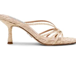 Steve Madden Edna Women's