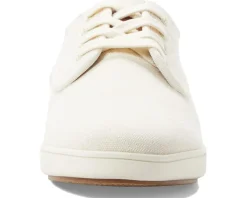 Steve Madden Fenta Men's